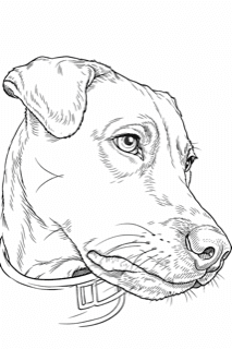 Illustration of Onyx, Angela's dog